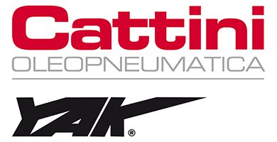 Cattini Logo